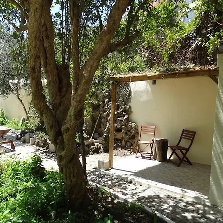 Graca Palace With Private Pool Garden Apartment Lissabon