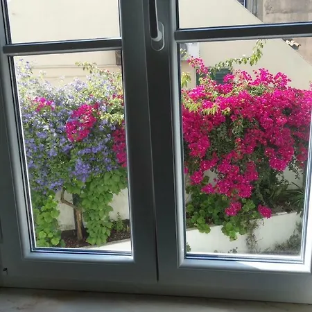 Graca Palace With Private Pool Garden