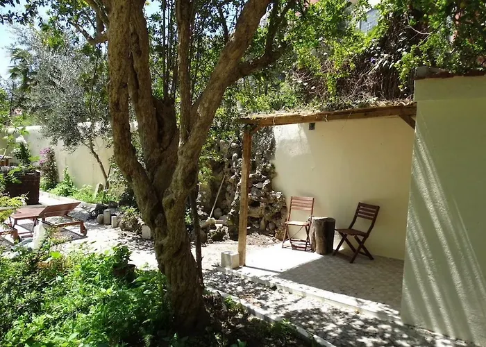 Graca Palace With Private Pool Garden Lejlighed Lisboa