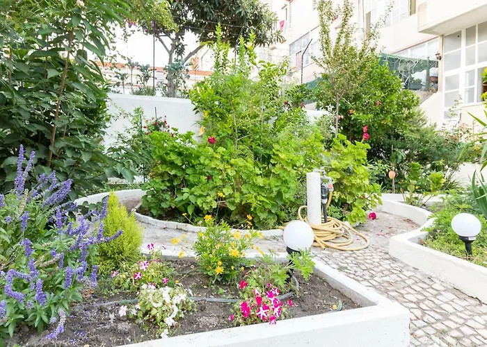 Graca Palace With Private Pool Garden Lejlighed