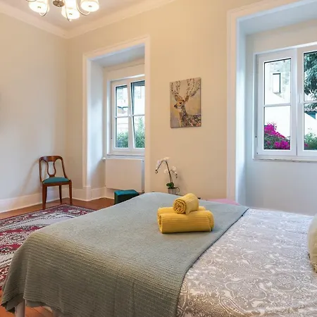 Graca Palace With Private Pool Garden Διαμέρισμα