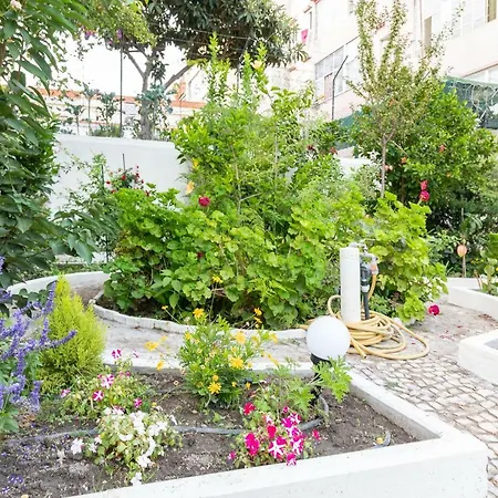 Graca Palace With Private Pool Garden Апартаменты